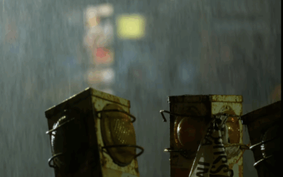 grapamiel con açaí