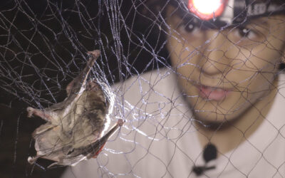 Tierra Compartida Ep.03: En la profunda noche